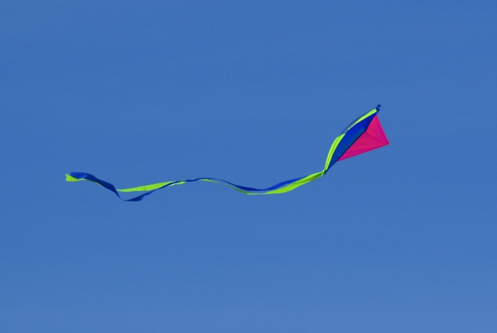 Kite on Holkham beach