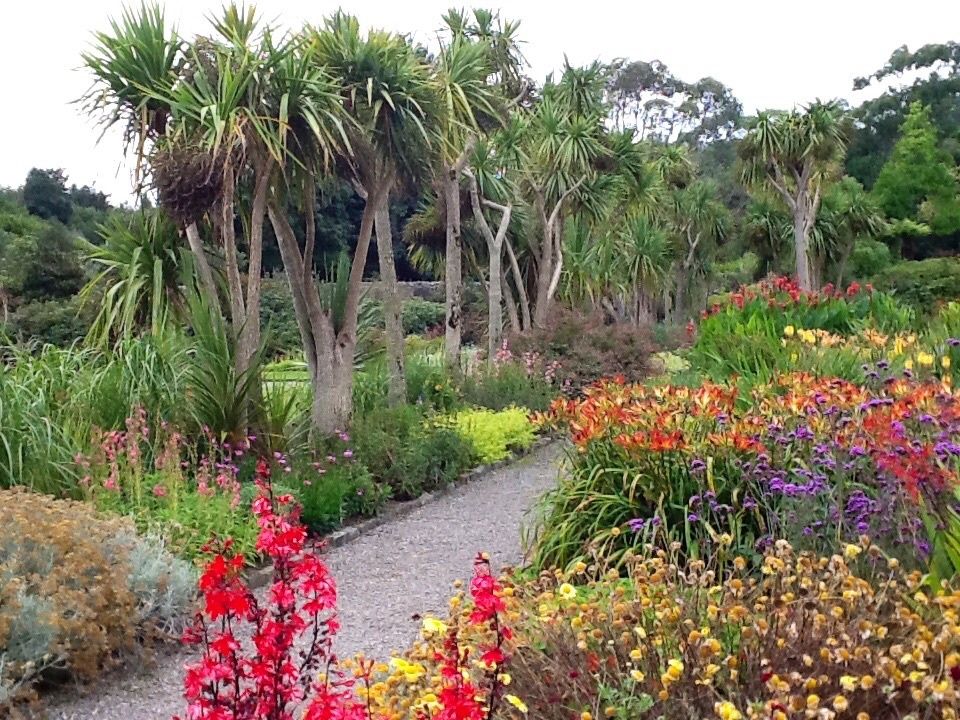Logan Botanic Gardens, Stranraer, Scottland.