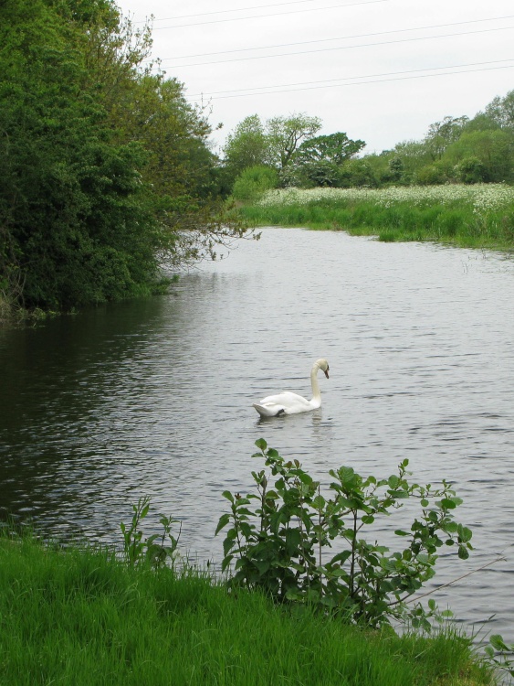 River Blackwater near Maldon