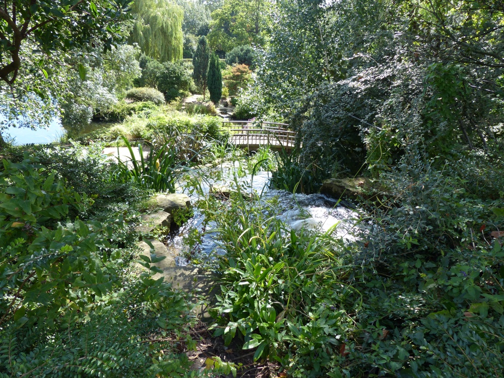 The Japanese Garden in Regent's Park
