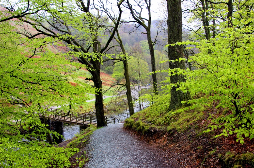 Footpath on rainy day by lake Grasmere