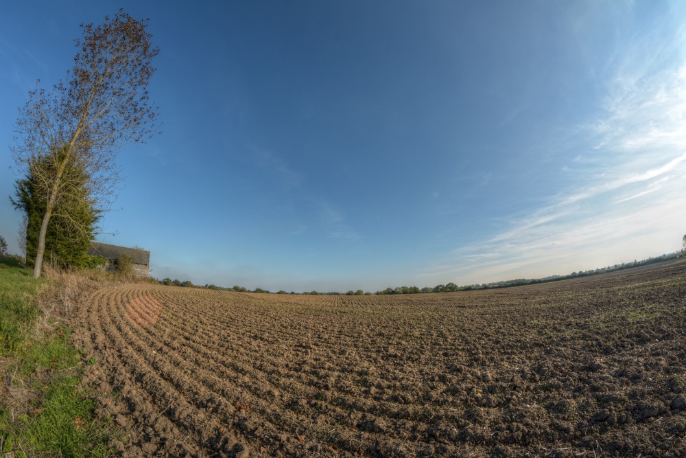 Ploughed Field near Godington, Oxfordshire