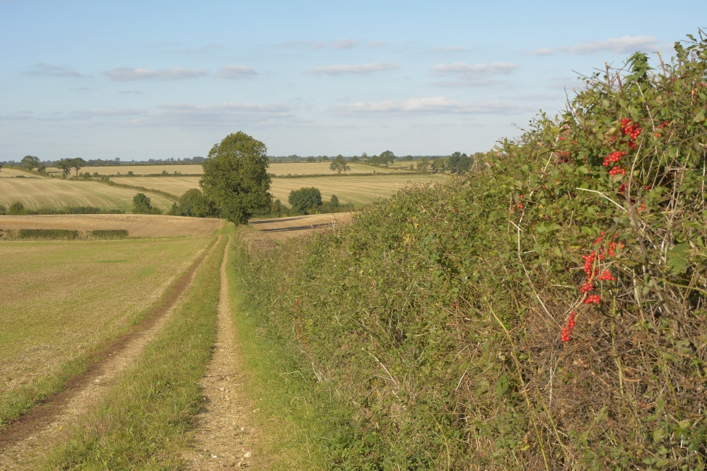 Track near Souldern, Oxfordshire