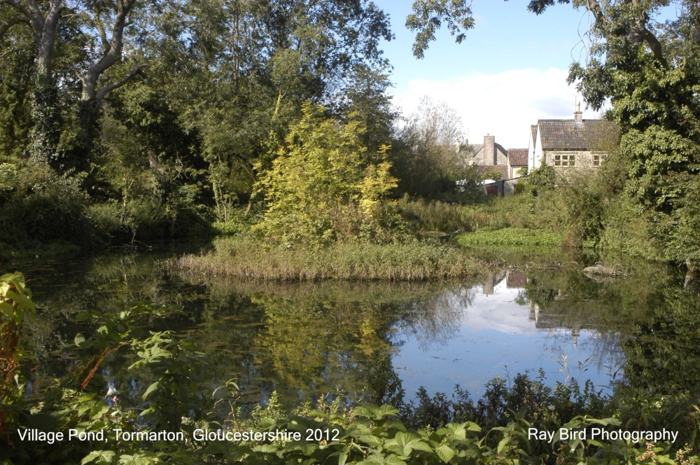 The Village Pond, Tormarton, GLoucestershire 2012