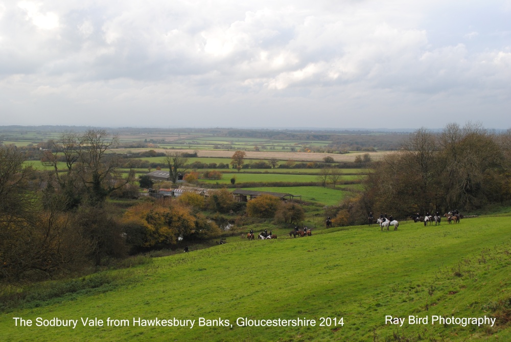Sodbury Vale from Hawkesbury Banks, Gloucestershire 2014
