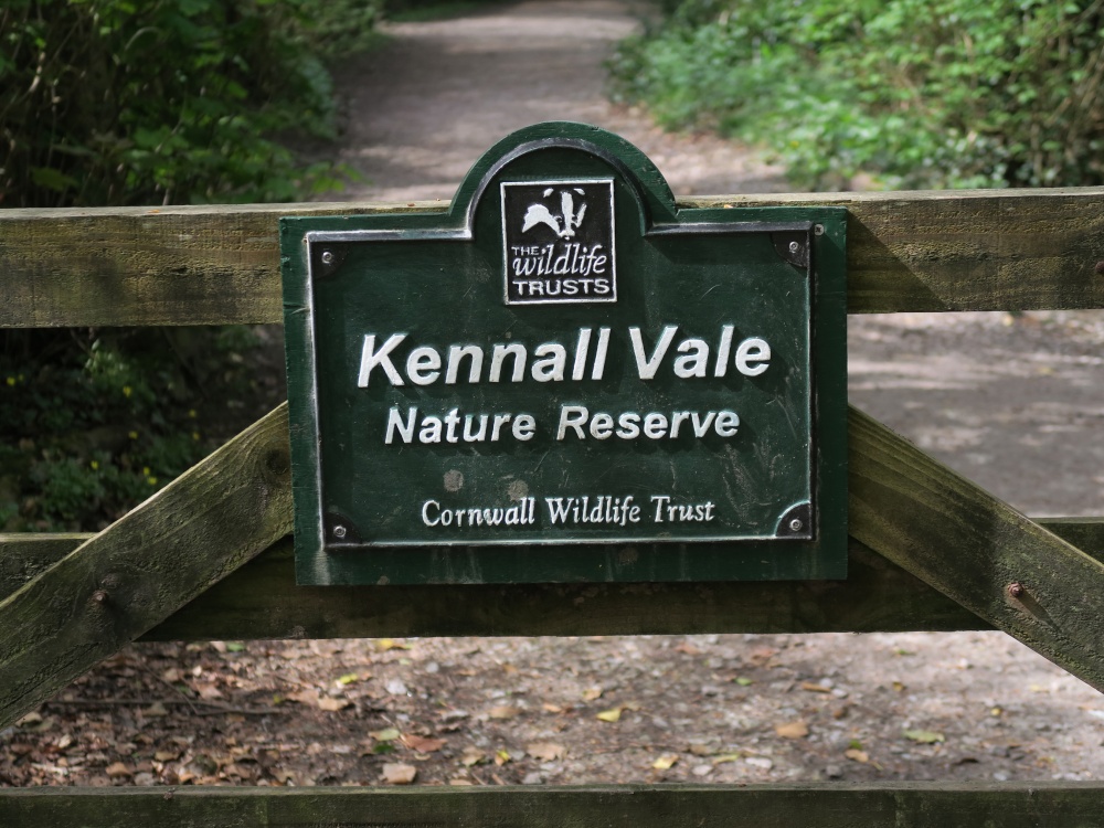 Kennall Vale Nature Reserve