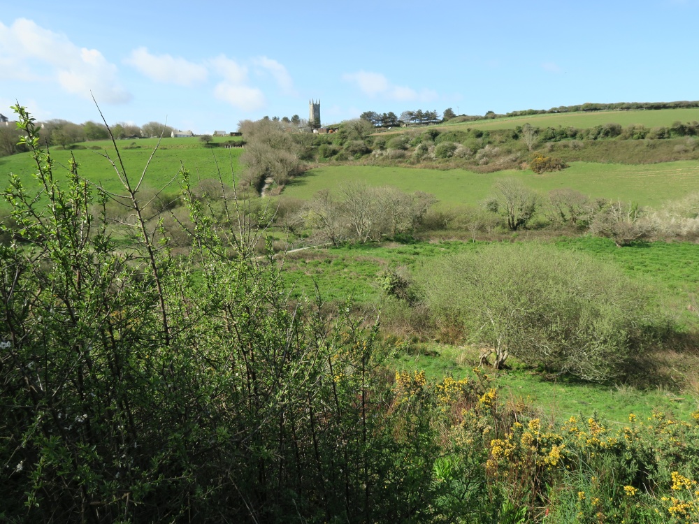 Newquay countryside