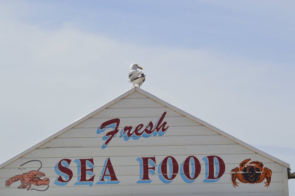 'Sea Food', Weston-Super-Mare