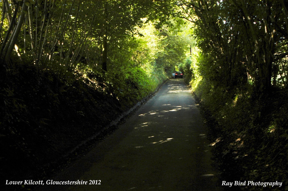 Lane into Lower Kilcott, Gloucestershire 2012