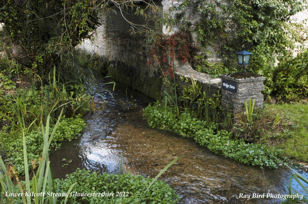 Stream, Lower Kilcott, Gloucestershire 2012