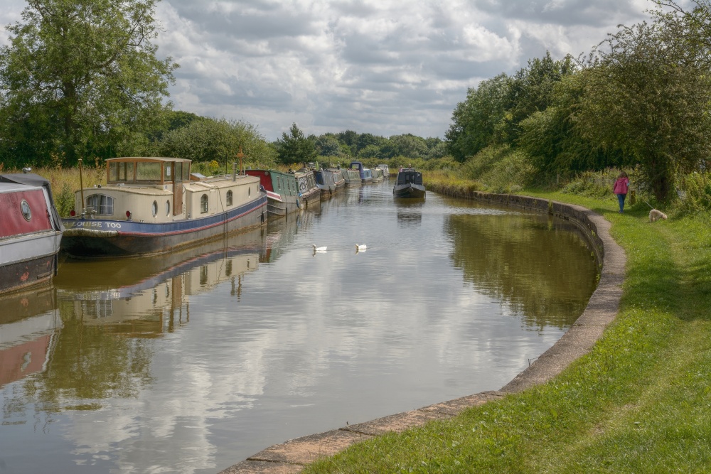 Trent & Mersey Canal at Elworth, Cheshire