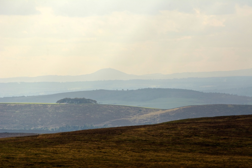 View South-West from Axe Edge Moor, Peak District, Derbyshire