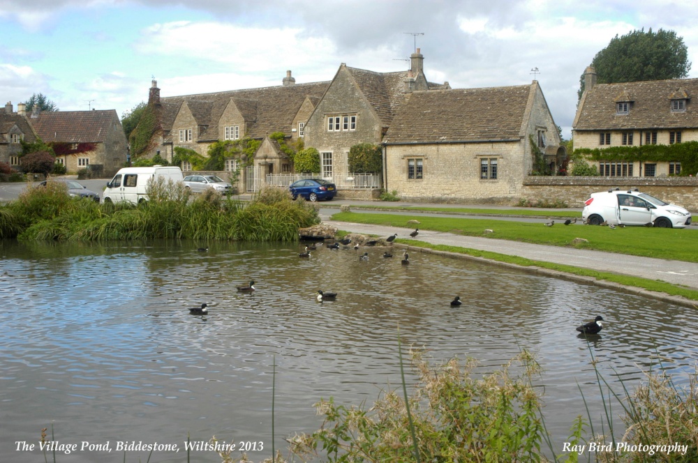 The Village Pond, Biddestone, Wiltshire 2013