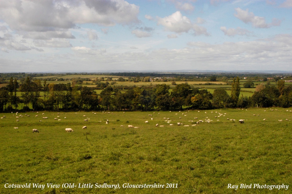 Cotswold Way View, Little Sodbury, Gloucestershire 2011