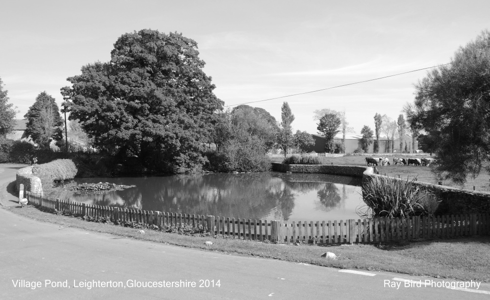 The Village Pond, Leighterton, Gloucestershire 2014