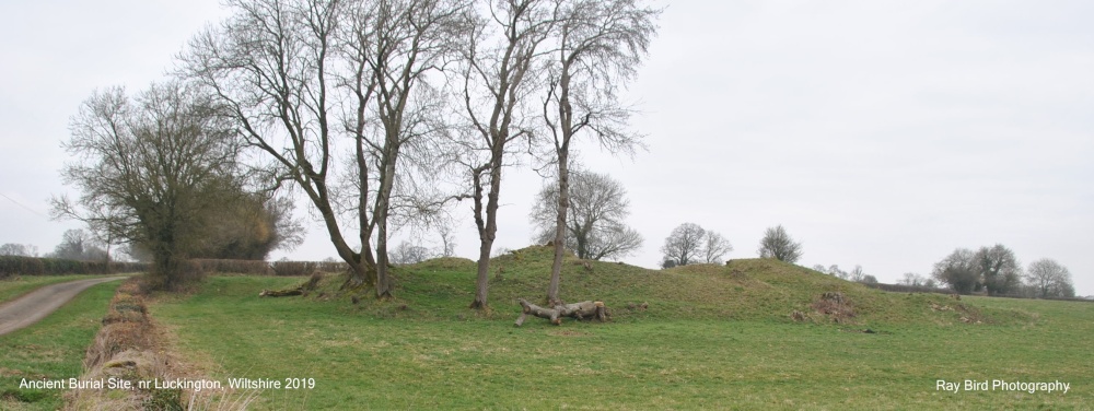 Ancient Burial Site, nr Luckington, Wiltshire 2019