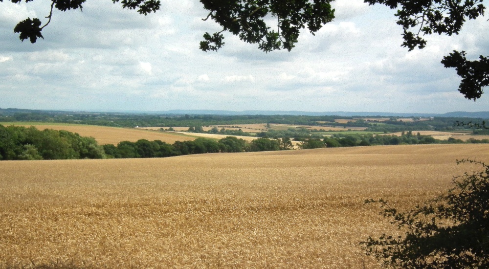 Fields on the road to Cuddesdon from Wheatley
