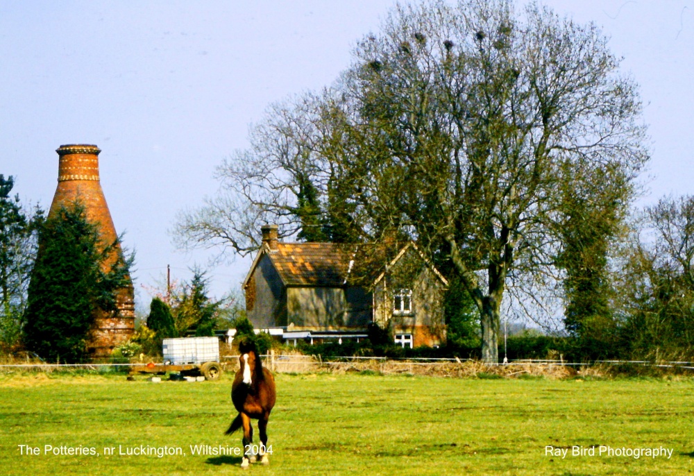 The Potteries, nr Luckington, Wiltshire 2004