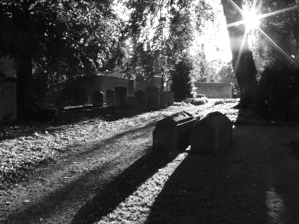 Peterborough Cathedral Churchyard In Black and White