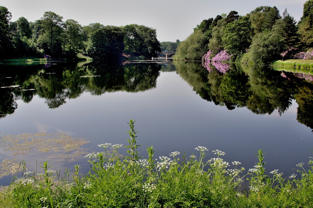 Lake at Nostell Priory, Wakefield