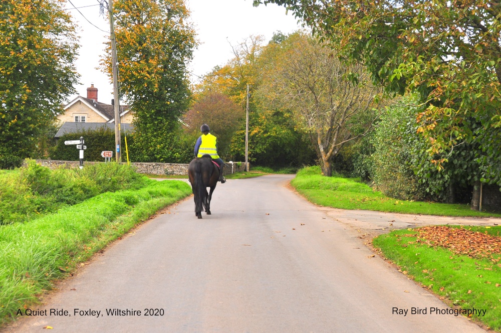 A Quiet Ride, Foxley, Wiltshire 2020