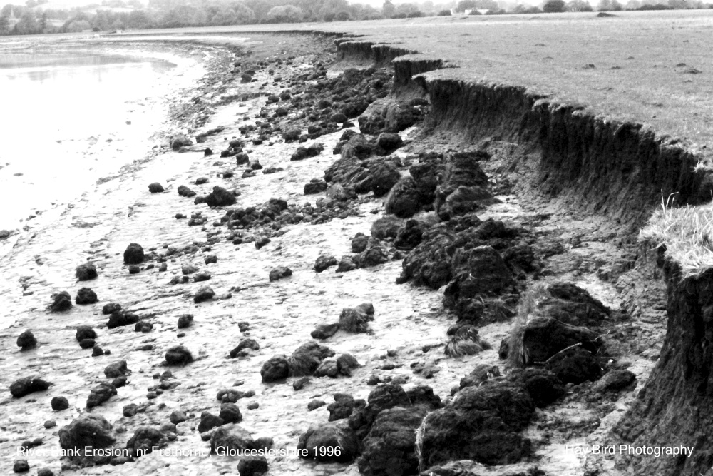 River Severn Bank Erosion, nr Fretherne, Gloucestershire 1996