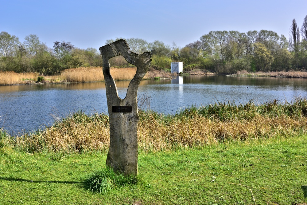 View Across the Sheltered Lagoon at London Wetlands