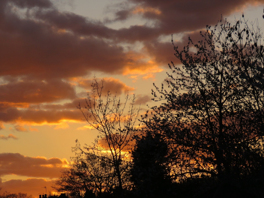 sunset over, Eastcote village