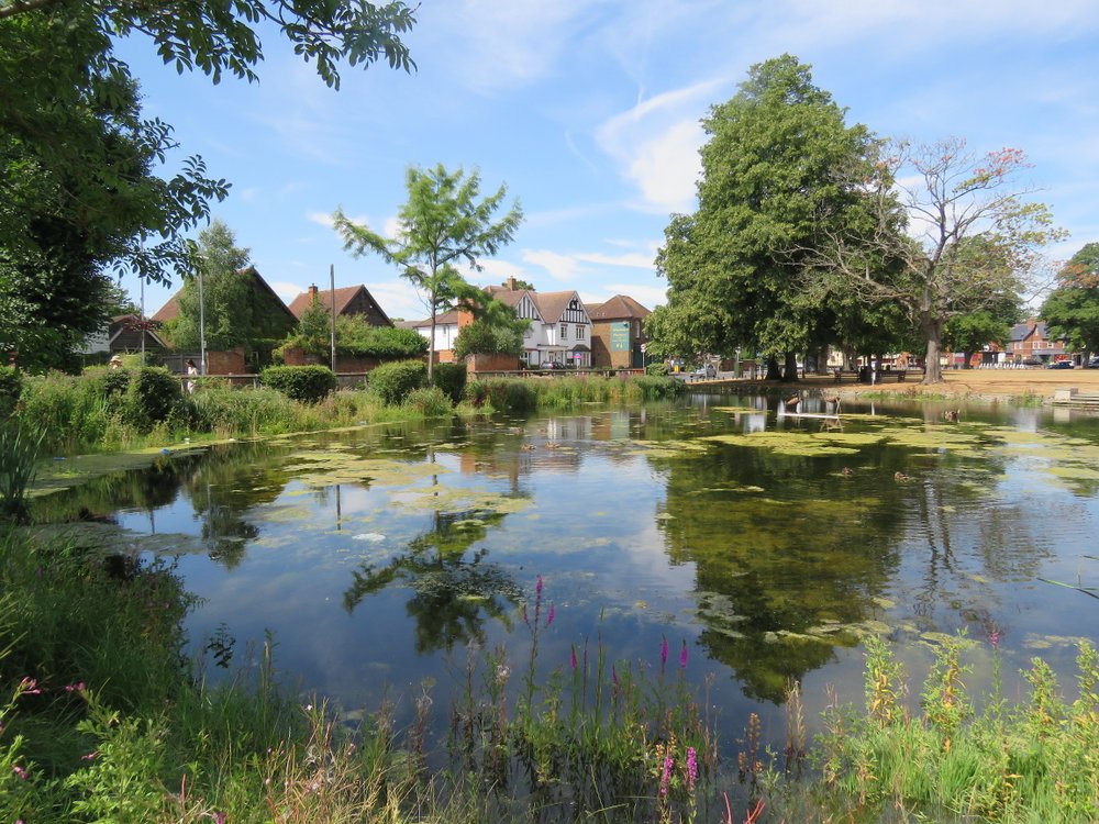The pond, Harefield