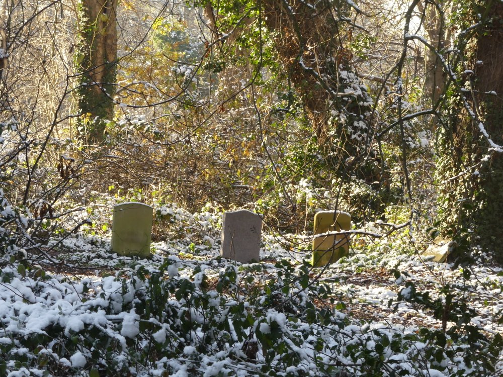 Ladywell Cemetery in The Snow