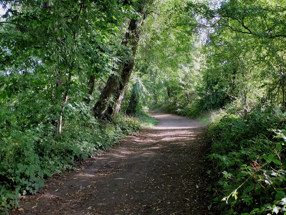 Path alongside River Dearne