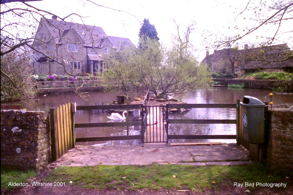 Village Pond, Alderton, Wiltshire 2001