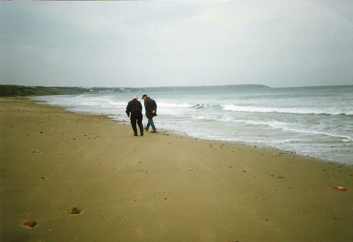 are dogs allowed on primrose valley beach