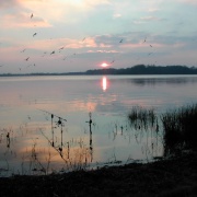 Photo of Bough Beech Reservoir