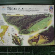 Photo of Kingley Vale Nature Reserve