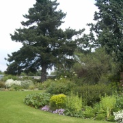 Photo of Beth Chatto Gardens