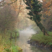 Photo of Morden Hall Park