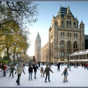 Photo of The Natural History Museum