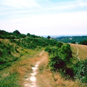 Photo of Cissbury Ring