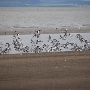 Photo of Silloth