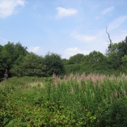 Photo of Shotover Country Park
