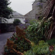 Photo of Trewithen Gardens