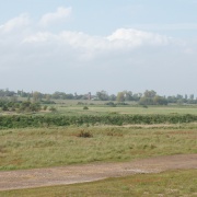 Photo of Shingle Street