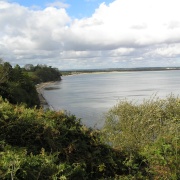 Photo of Studland