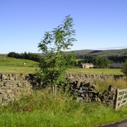 Photo of Alston Moor