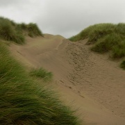 Photo of Ynyslas