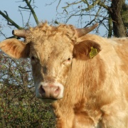 Photo of Barrow upon Soar