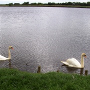 Photo of Hickling Broad