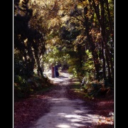 Photo of Howell Wood Country Park