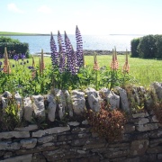 Photo of Shapinsay